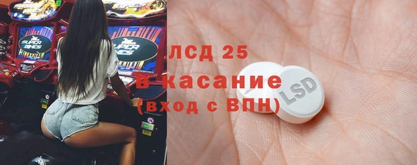 гашик Майский