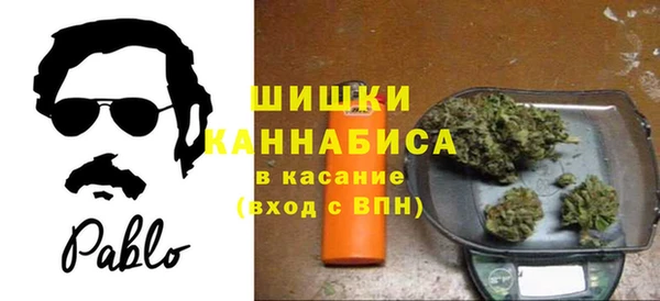 гашик Майский