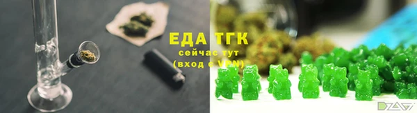 гашик Майский