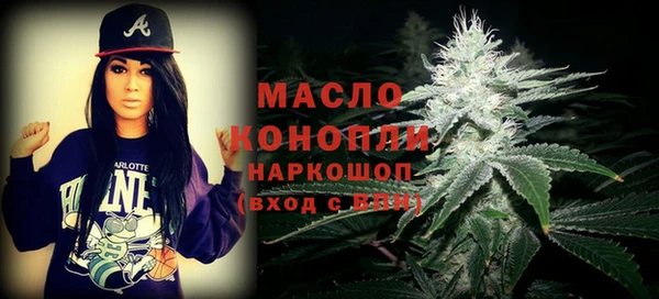 гашик Майский
