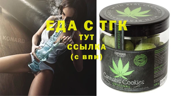 гашик Майский