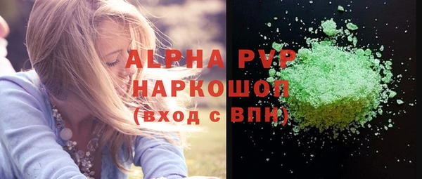 гашик Майский
