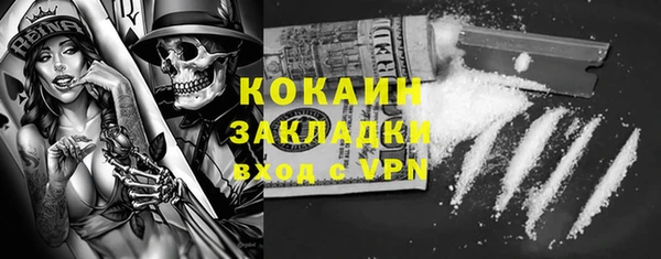гашик Майский