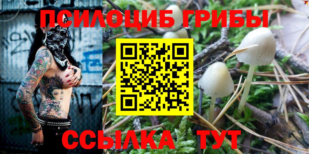 Псилоцибиновые грибы GOLDEN TEACHER  Вход с VPN  Ковров 