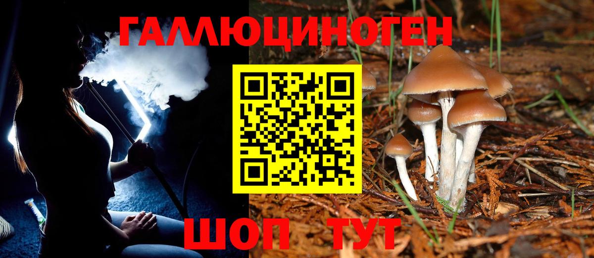 Ковров  Бошки Шишки  Вход с VPN  А ПВП  КОКАИН  НБОМе  ГАШИШ  МЕФ  МЕФ  Канабис 